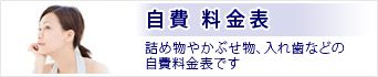 自費 料金表：詰め物やかぶせ物、入れ歯などの自費料金表です。