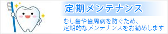 定期メンテナス：むし歯や歯周病を防ぐための、お口の特別なクリーニングです。